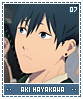 akihayakawa07
