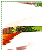 cagedfreedom01