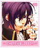cherryblossoms04