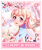 cherryblossoms07