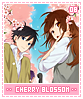 cherryblossoms08