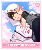 cherryblossoms16