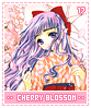 cherryblossoms17