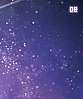 eeveesstarrywish08