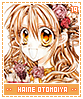 haineotomiya19