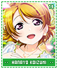hanayokoizumi13