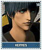hermes19