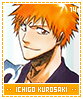 ichigokurosaki14