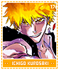 ichigokurosaki17