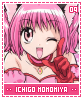ichigomomomiya09