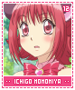 ichigomomomiya12