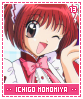 ichigomomomiya13