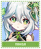 nahida04