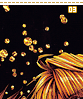 papillonsdor03