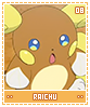 raichu08