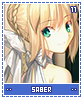 saber11