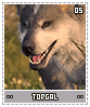 torgal05