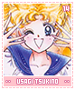 usagitsukino14