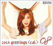 apink-2016seasonsgreetingcalendar08
