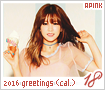 apink-2016seasonsgreetingcalendar18