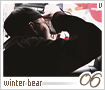 bts-vwinterbear06